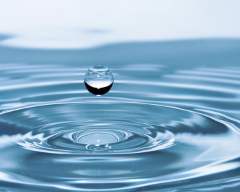 KISKUNVÍZ KFT - ügyfélfogadási rend